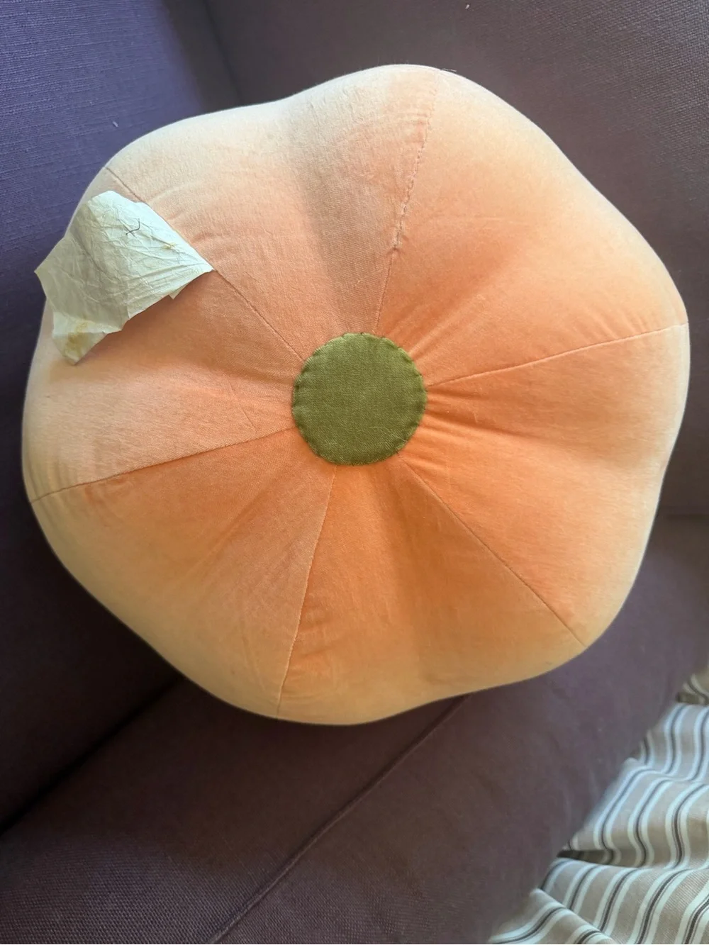 Oi Plush Peach Decorative Pillow with Leaf Accent